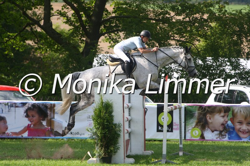 308M0583_Abahatschi_Spring Mx.JPG